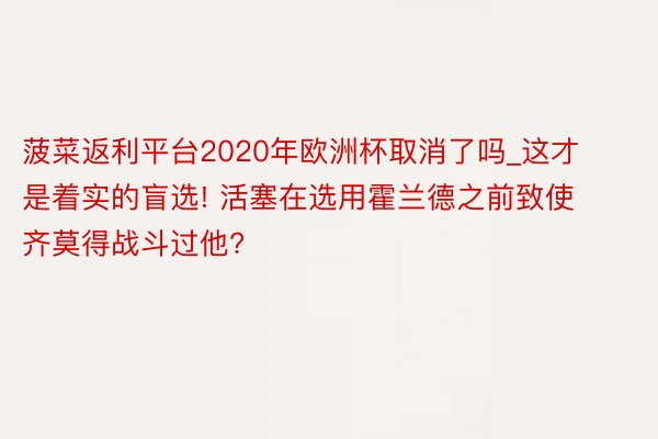 菠菜返利平台2020年欧洲杯取消了吗_这才是着实的盲选! 活塞在选用霍兰德之前致使齐莫得战斗过他?