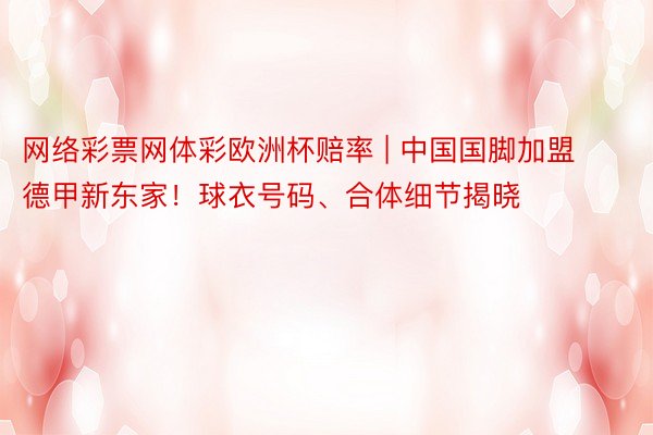 网络彩票网体彩欧洲杯赔率 | 中国国脚加盟德甲新东家！球衣号码、合体细节揭晓