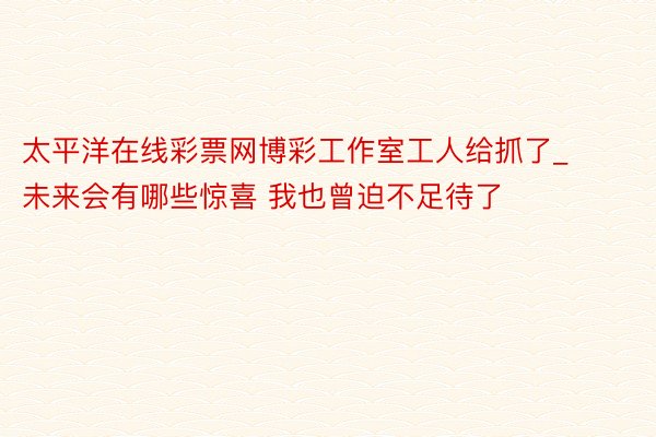 太平洋在线彩票网博彩工作室工人给抓了_未来会有哪些惊喜 我也曾迫不足待了